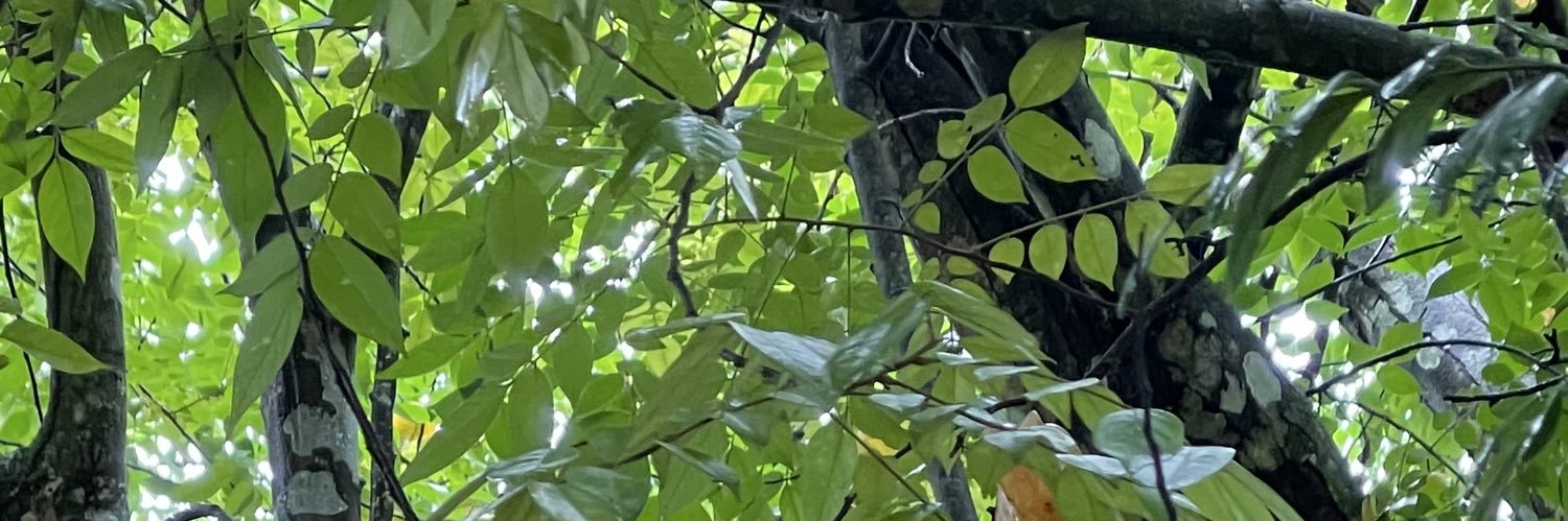 HayraCarcamo's profile banner image