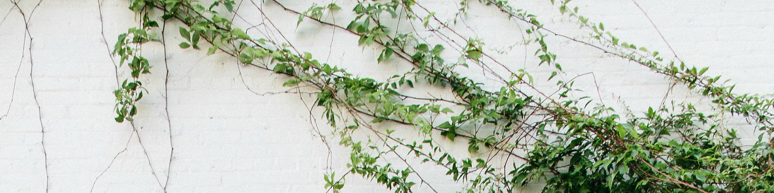 elliotw's profile banner image