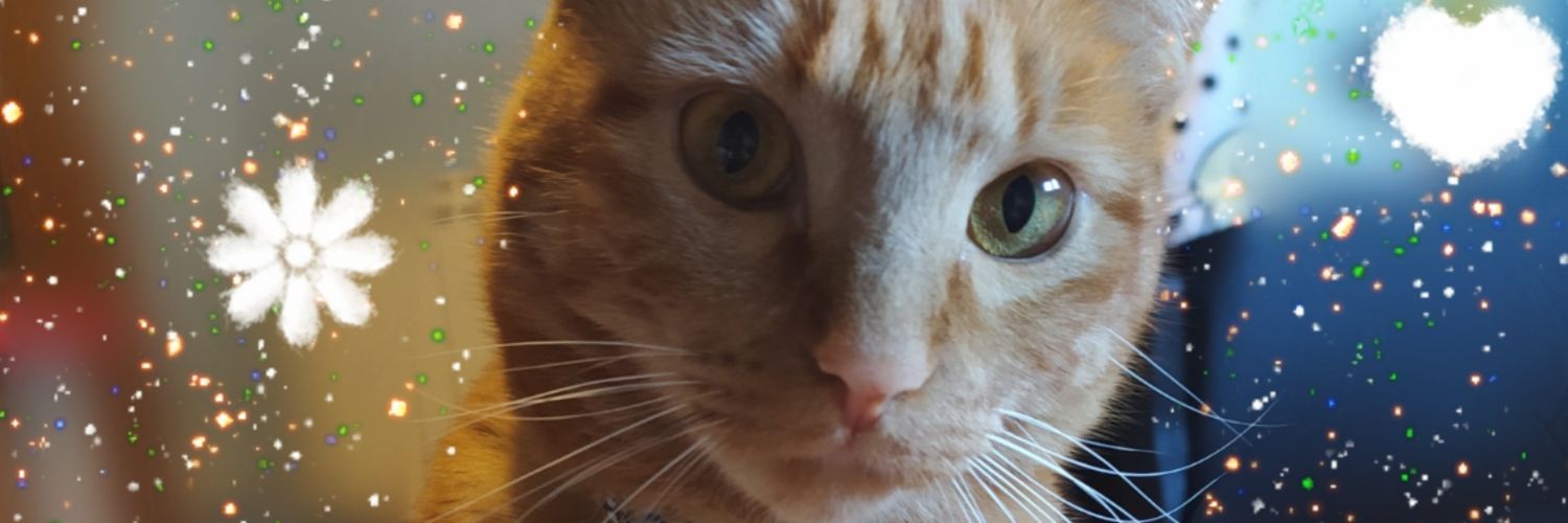noatron's profile banner image