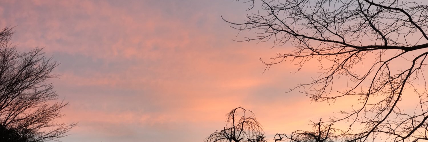 jennyrae's profile banner image