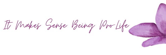 Pro-Life Midwife banner