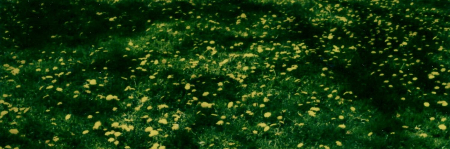 flankmostrum's profile banner image