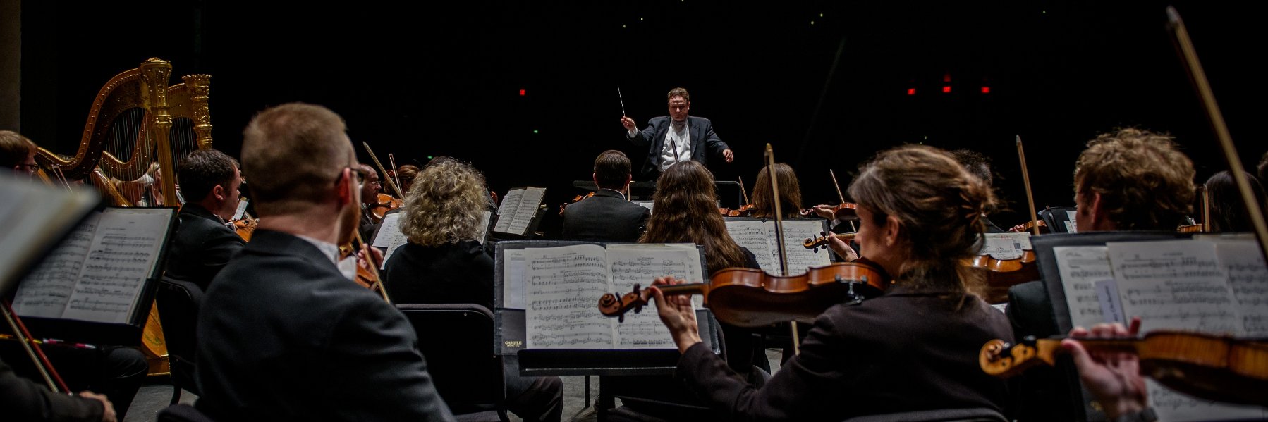 Huntsville Symphony Orchestra banner