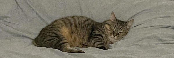 b4ngwooool Profile Banner