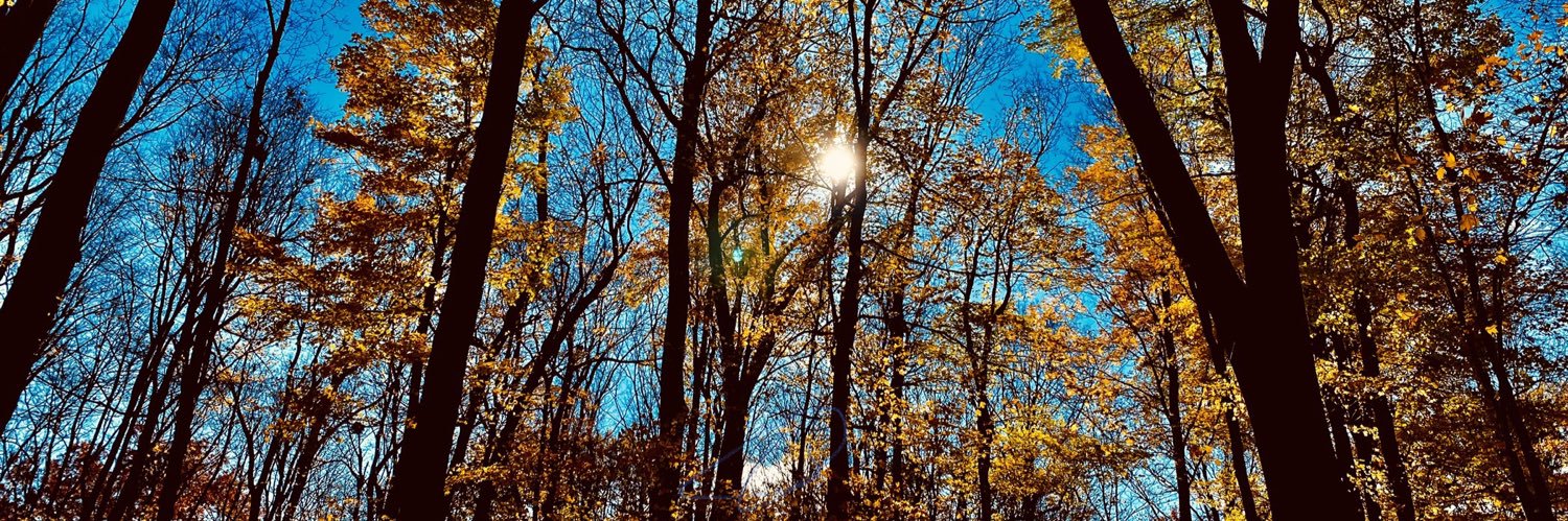 Dave Kroetsch banner