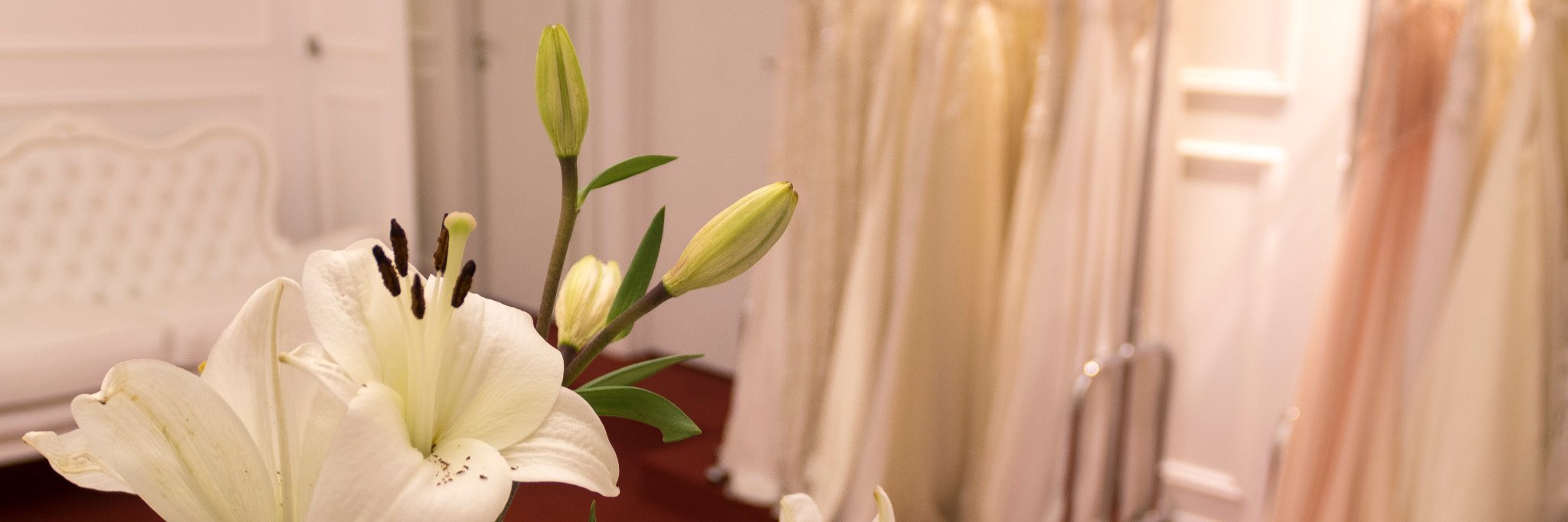 AguedaCouture's profile banner image