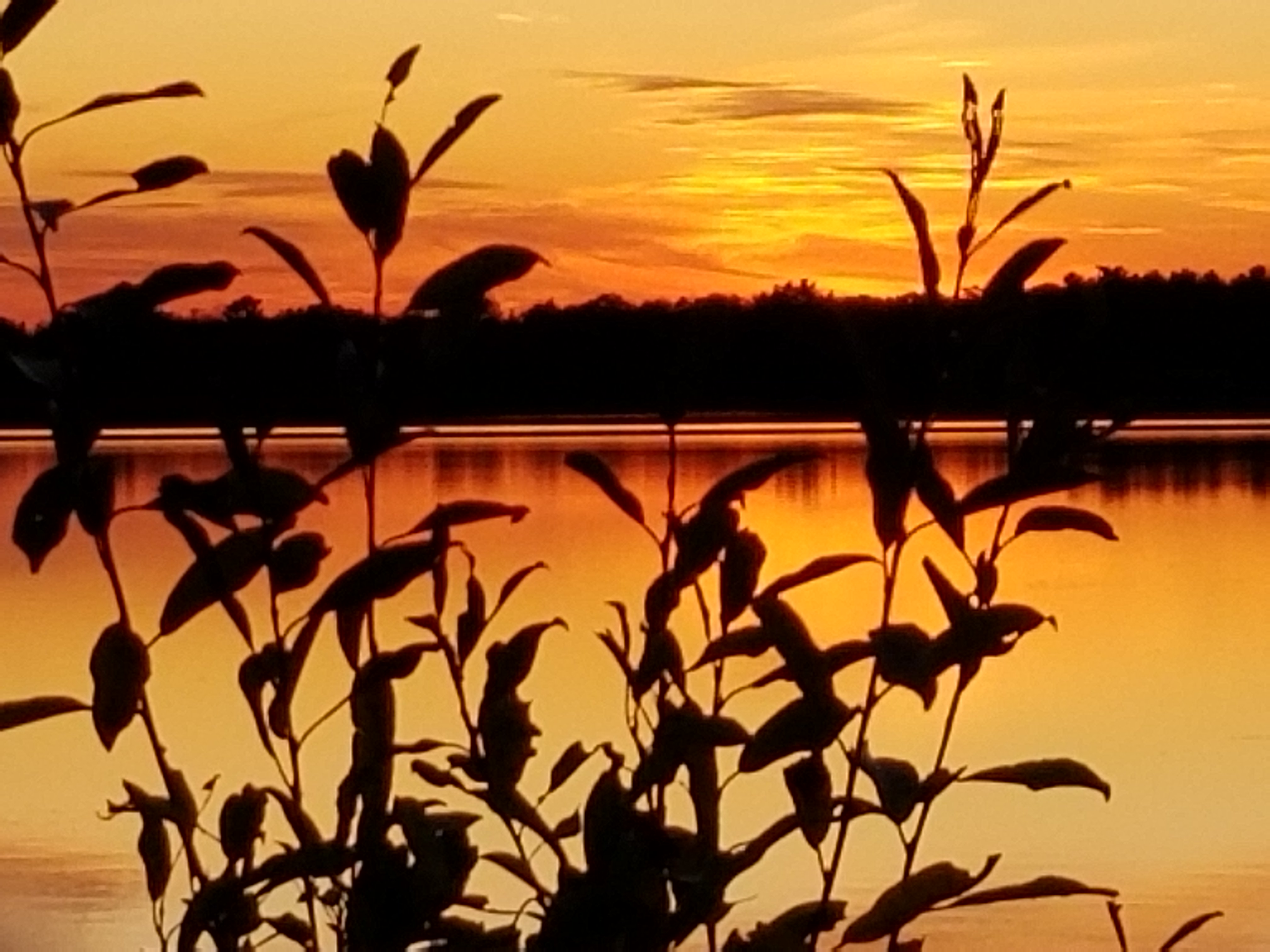 mnlakegal's profile banner image