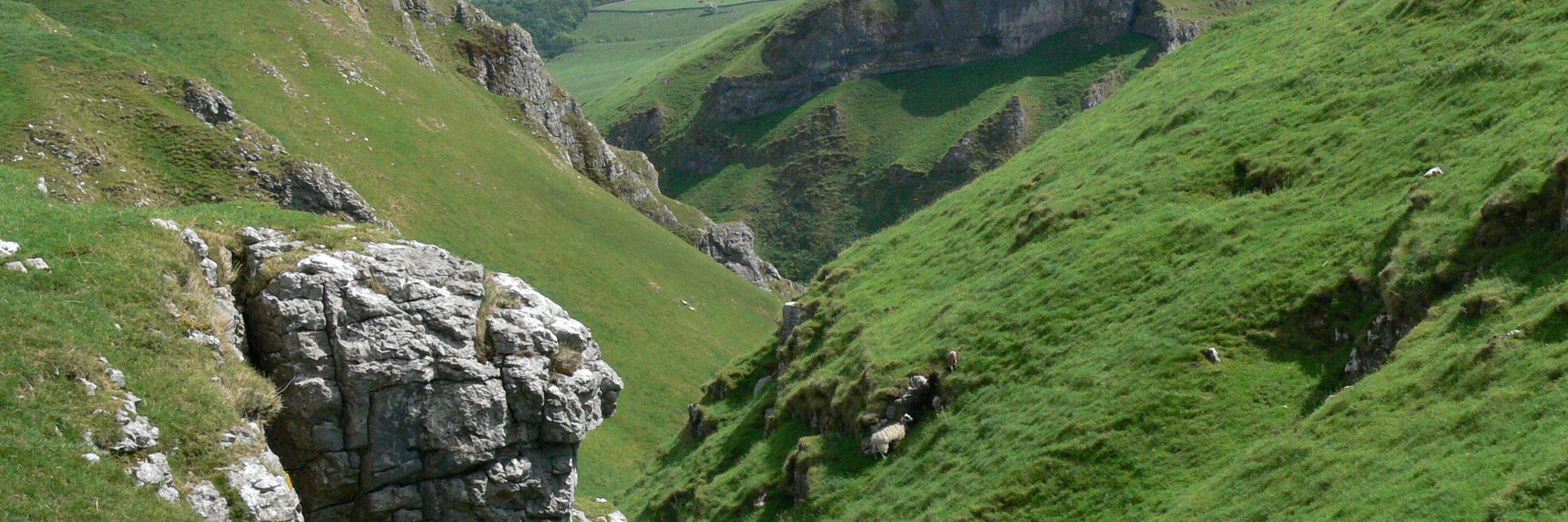 TheAlanDraper's profile banner image