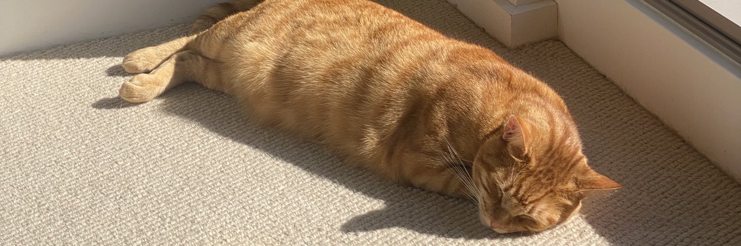 めろん🍈 banner