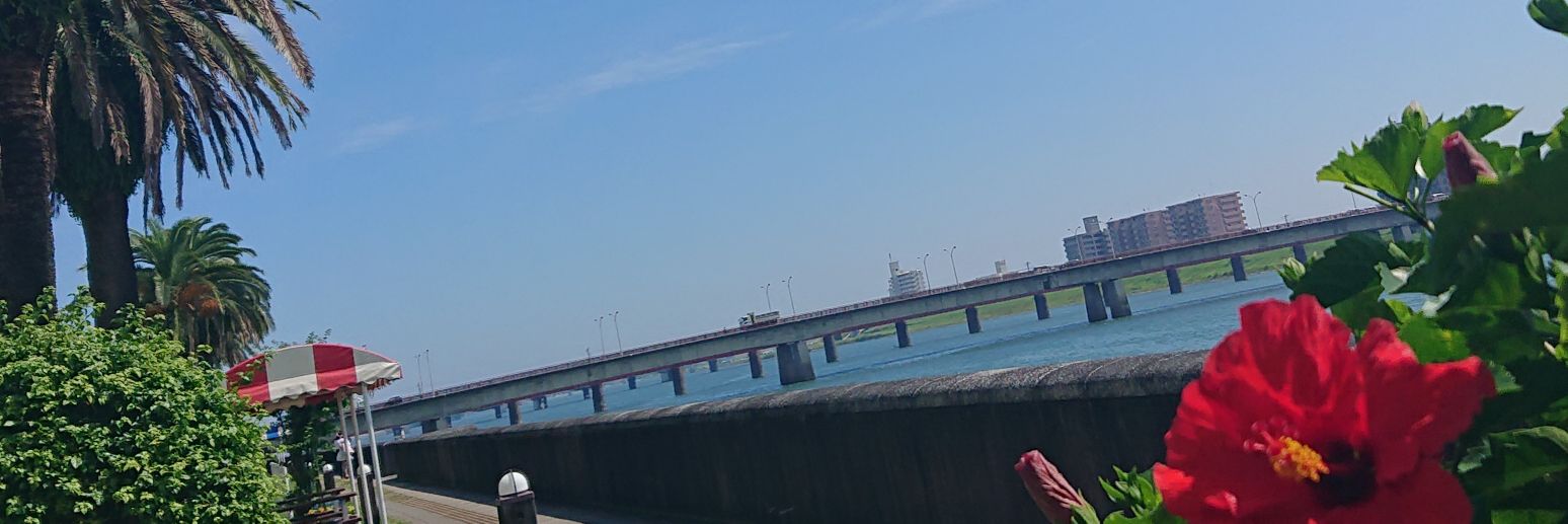 clover12388's profile banner image