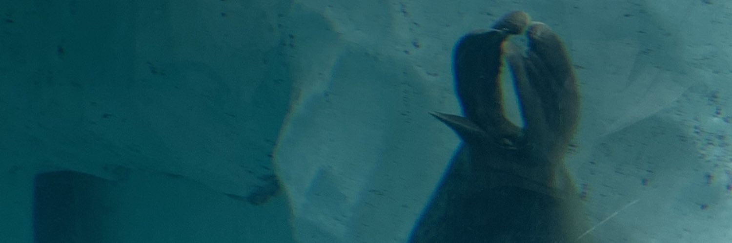 Mayuko782's banner