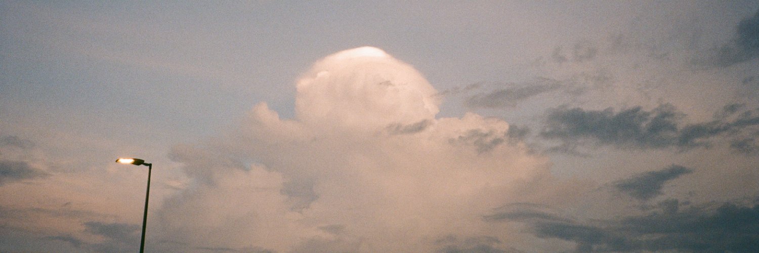 bashtwigs's profile banner image