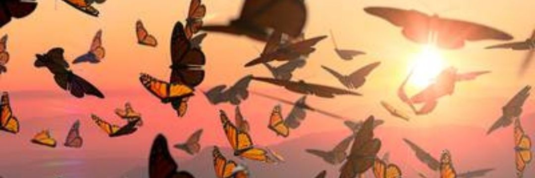 nomasmentiras84's profile banner image