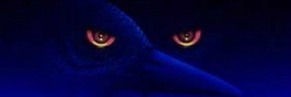 trishSWFL Profile Banner