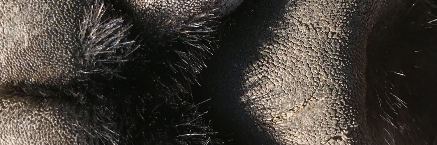 TonGroothuis's profile banner image