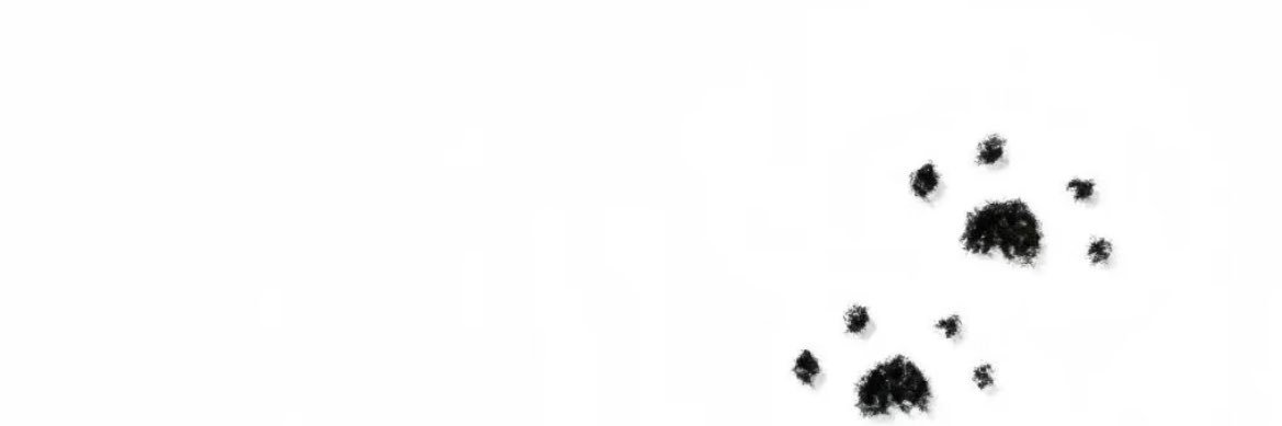 Yvette811's profile banner image