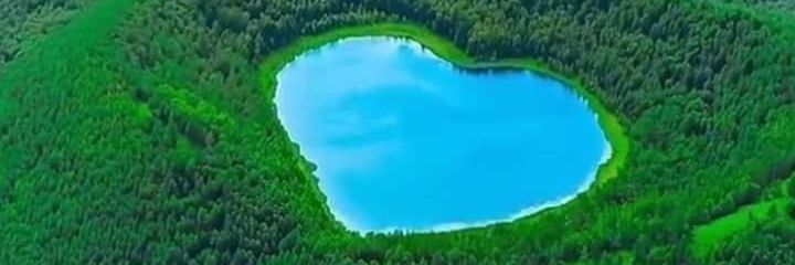 平頭純1爸主 banner