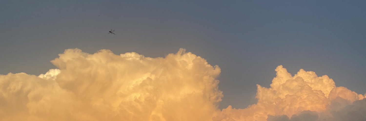 wilonacordier's profile banner image