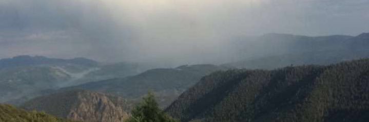 Bradley Fouchia banner