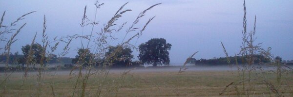 InterEdcontext Profile Banner