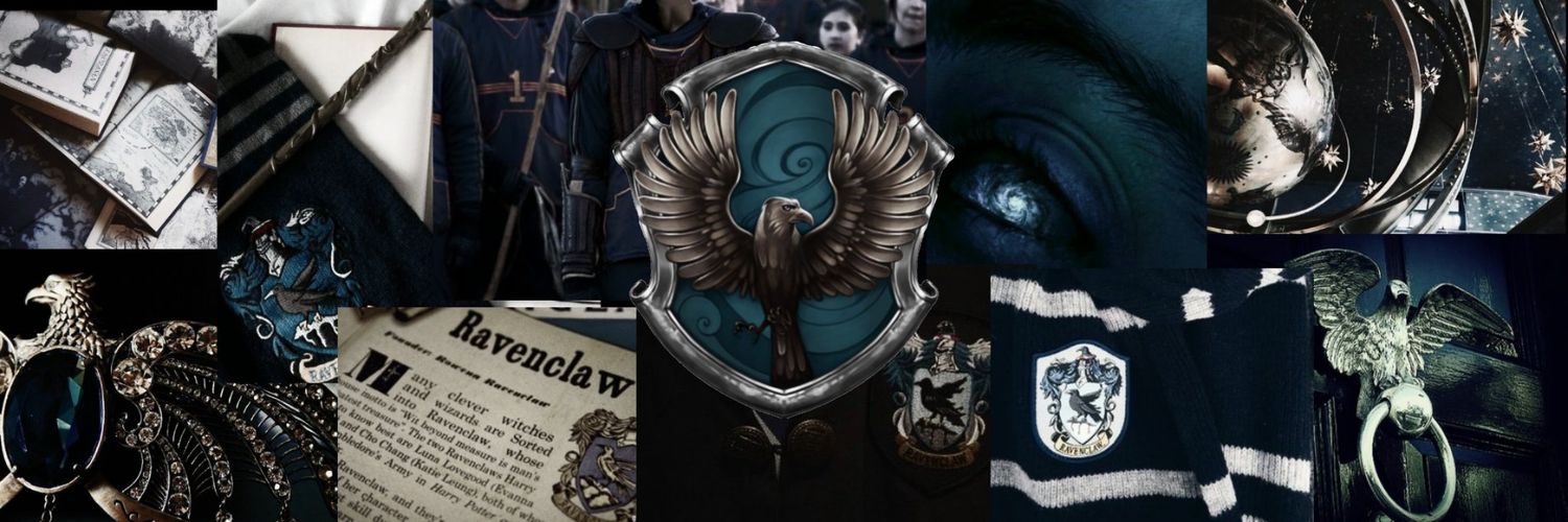 snowmanarms's profile banner image