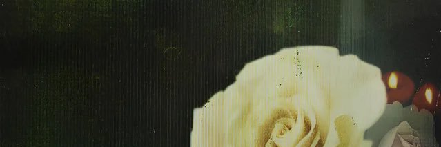 digzz banner