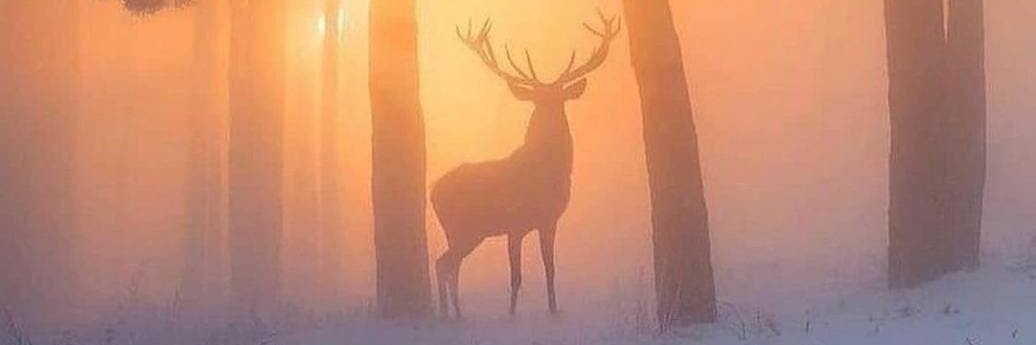 Toxic Positivity banner