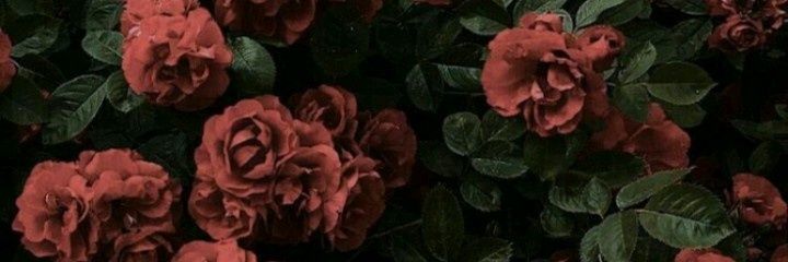 LuchiiGreco's profile banner image