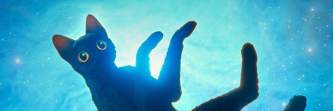 Cataleia_ChunLi's profile banner image