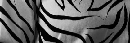 Sc0opFR's profile banner image