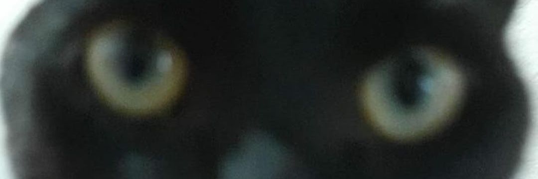 MonsterLowEnd's profile banner image