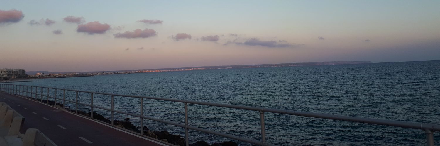 RustysDarling's profile banner image
