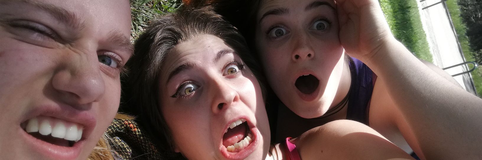 sararm___'s profile banner image