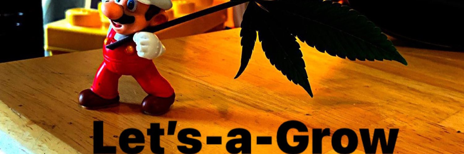 12th Stealth's banner