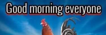 Dilson Garcia banner