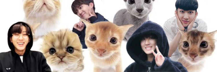 Imagem do banner X do usuário