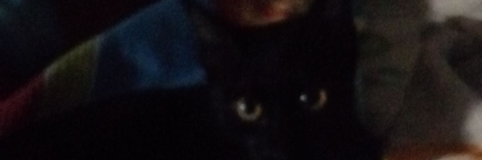S banner