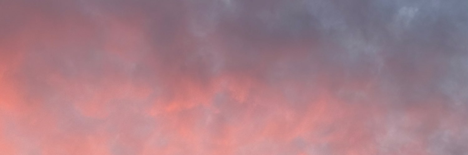 LailaArab_'s profile banner image