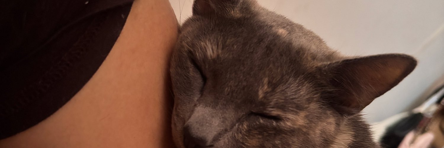 livy🧡 banner