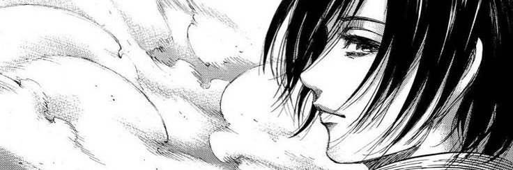 Mikasa655's profile banner image