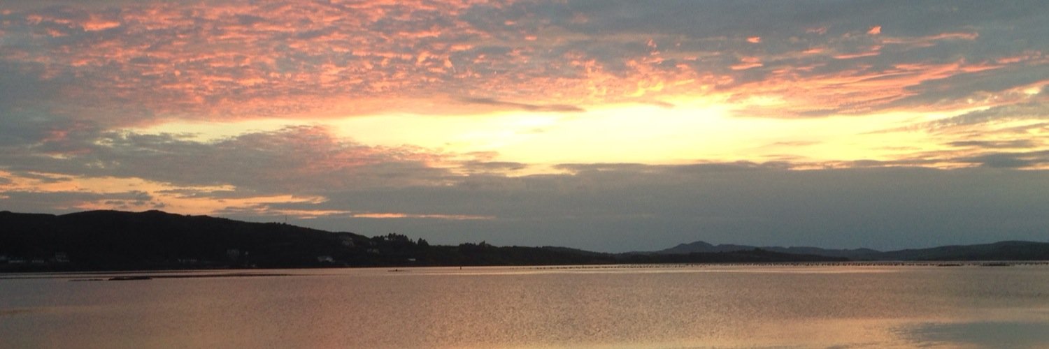 Donegaldogs's profile banner image