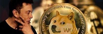 DogePusher's profile banner image