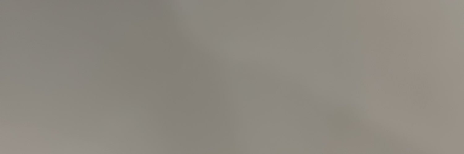 Zebheruna's profile banner image