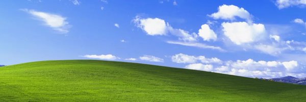 permanentglue Profile Banner