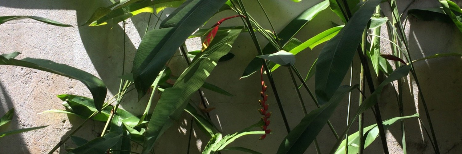 robertomoita's profile banner image