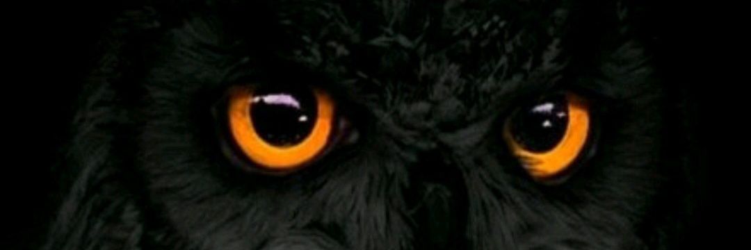 Sir Hor Lar banner