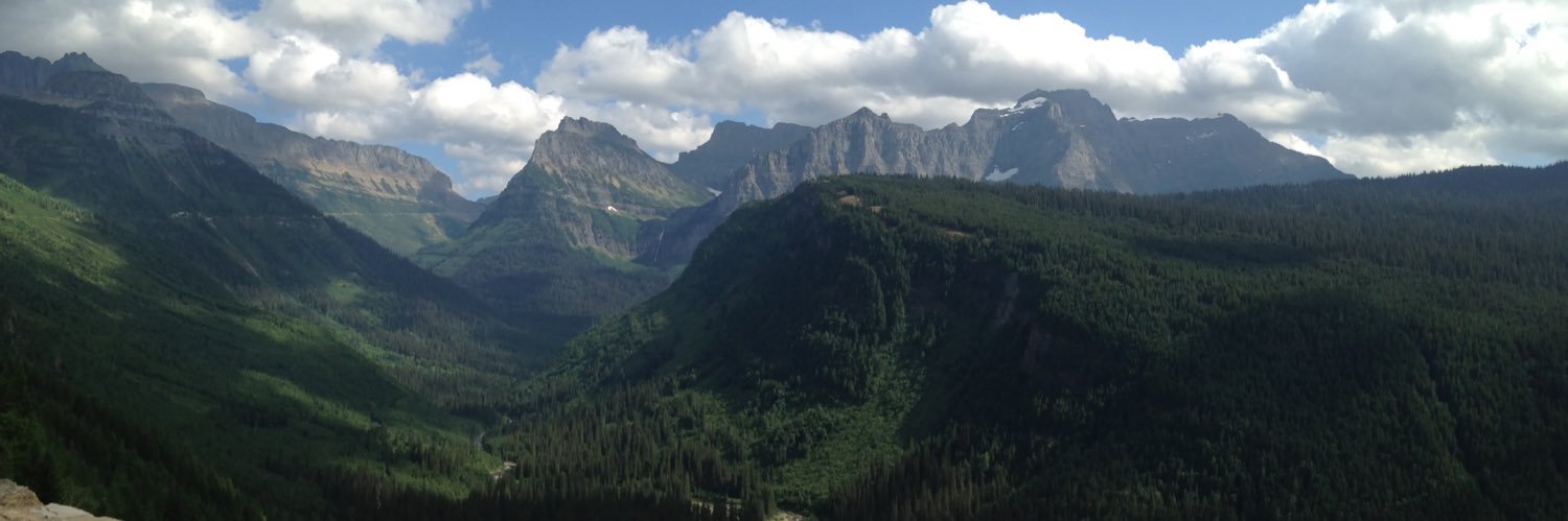 Dave Hill 🇺🇸🏒🥇 banner