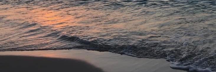 IRnightvision banner