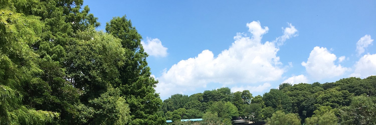 ealyou's profile banner image