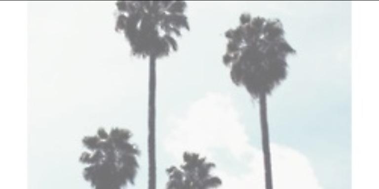 SassyLouis11's profile banner image